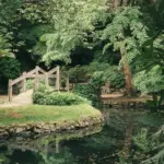 Reinigungsservice Maximilian Walter