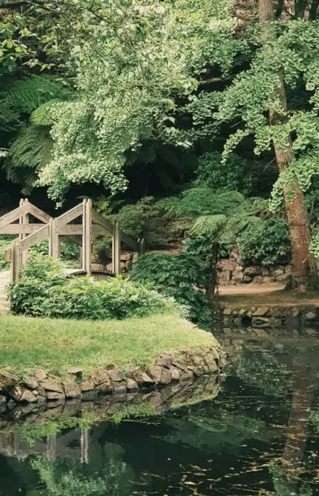 Reinigungsservice Maximilian Walter