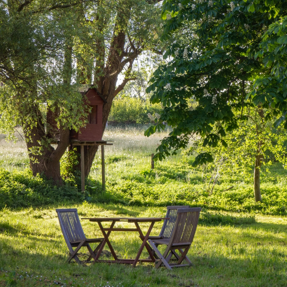 Gartenpflege Maximilian Walter